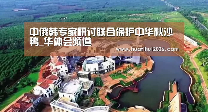 华体会比分